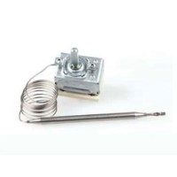 Termoregulator TRZ-85