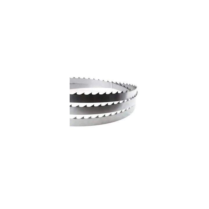 Brzeszczot do piły 3057x20mm EFA 001 363 701